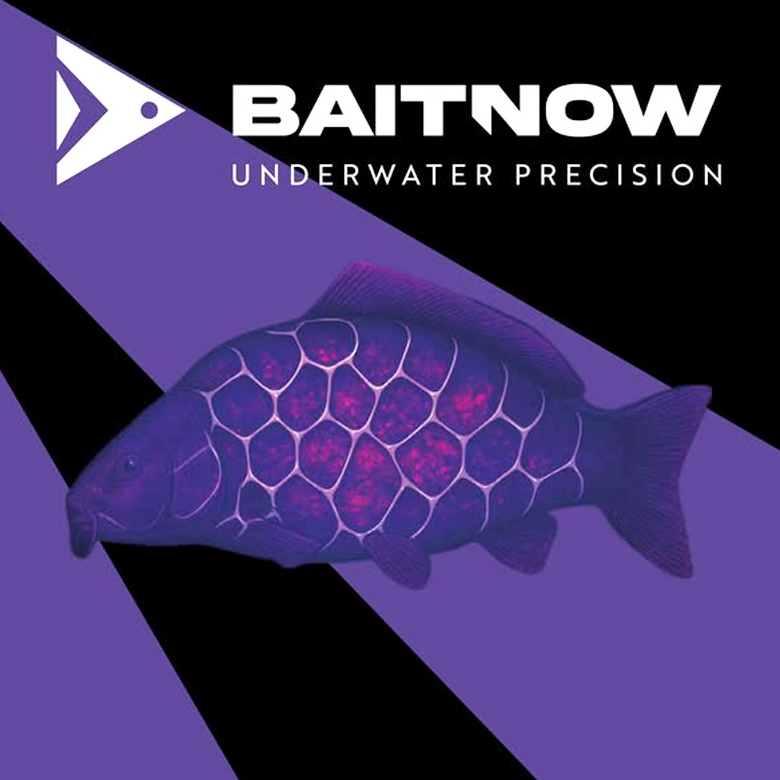 baitnow-home