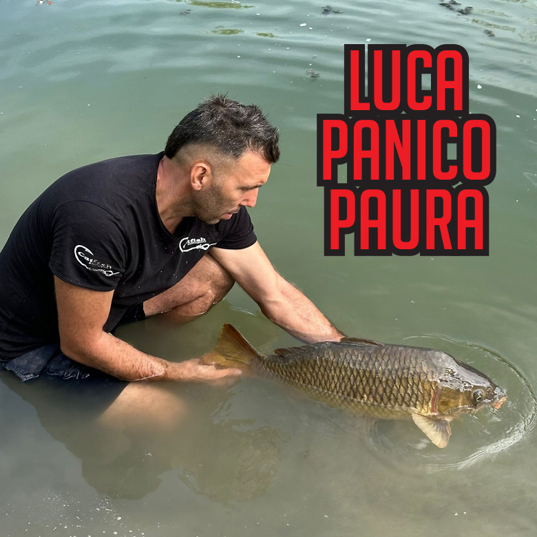 lucapanicopaura-home